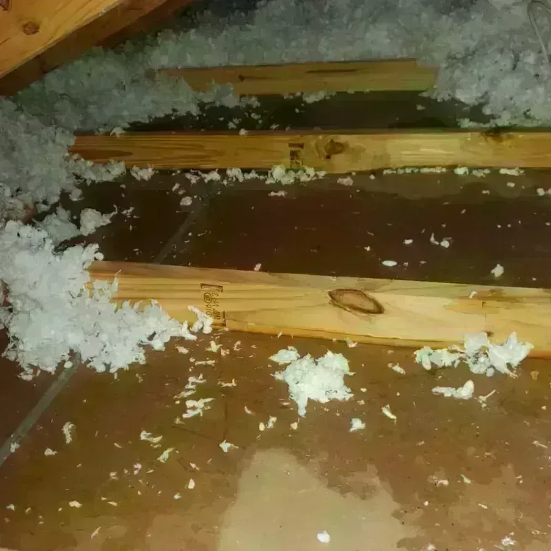 Attic Water Damage in Aromas, CA