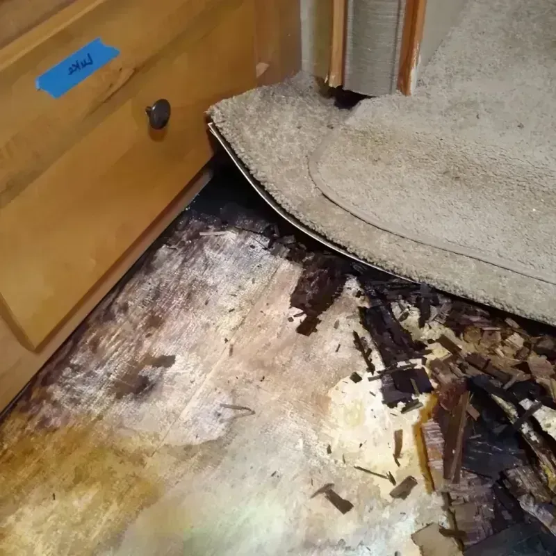 Wood Floor Water Damage in Aromas, CA